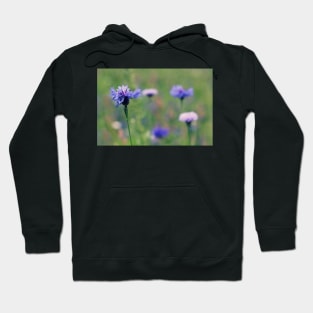 Wildflower Meadow Hoodie